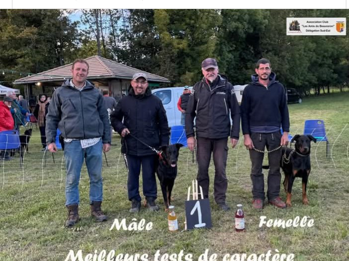 Vegas Des Gardiens Du Serre De La Mure